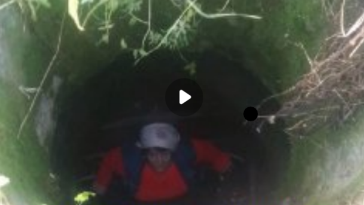 В Новосибирске женщина провалилась в коллектор во время сбора грибов