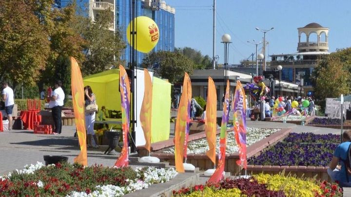 Власти рассказали, как Ростов отпразднует День города