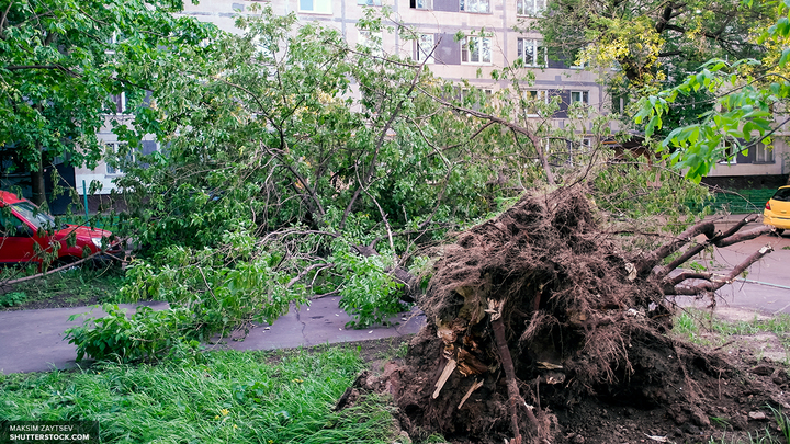 Ураган в Москве: Власти уточнили сроки на расчистку улиц