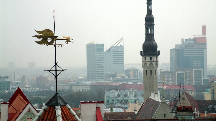 Это первичные вбросы: Политолог оценил инициативу Минобороны Эстонии