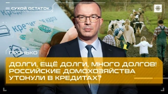 Пронько: Долги, ещё долги, много долгов! Российские домохозяйства утонули в кредитах?