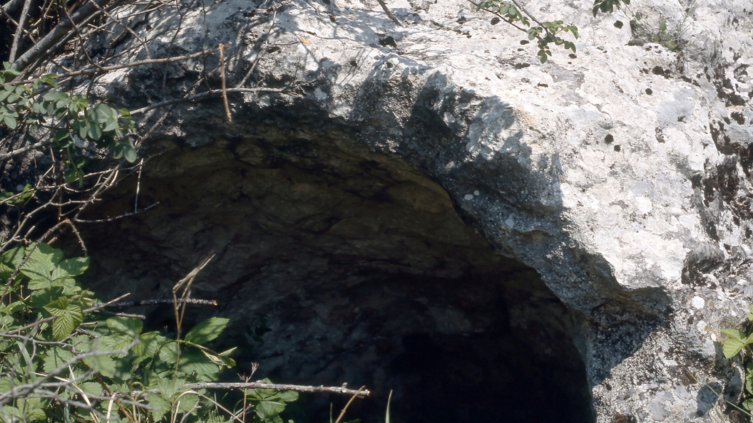 заваленная пещера. спасение детей из пещеры в таиланде. спасение мальчиков из пещеры в таиланде. заблудился в пещере. сьяновские каменоломни.