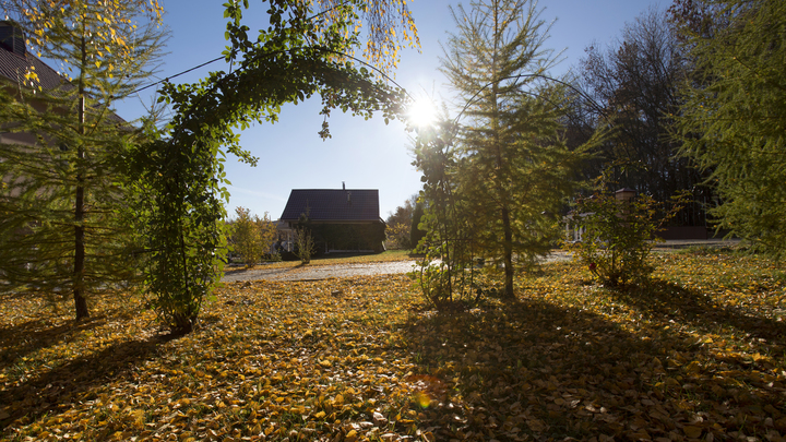 В Валуйках под Белгородом после атаки ВСУ пройдёт массовый снос домов