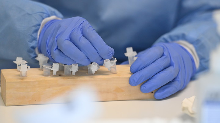 На самом деле пугает: Врач назвала важное отличие омикрона от других штаммов