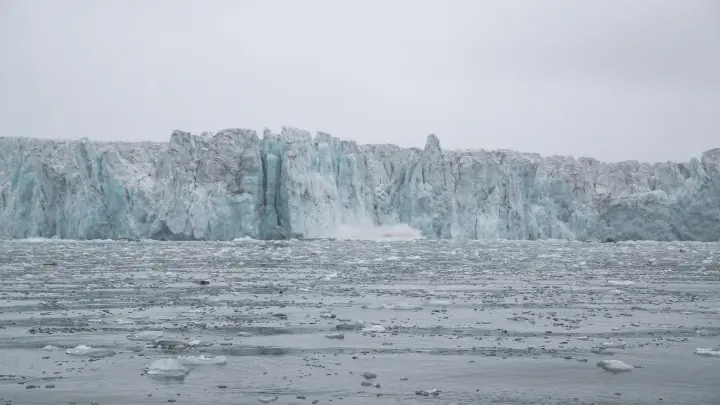 Находки на Шпицбергене заставили ученых пересмотреть теорию эволюции