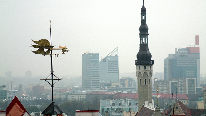 Эстония построит 600 погребов для картошки для защиты от России. И это не шутка