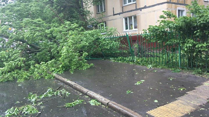 В Новороссийске ураганный ветер перевернул грузовик