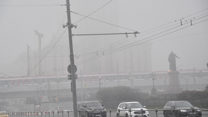 Пошли по самому простому пути: Автоэксперт объяснил, почему власти хотят отменить техосмотр