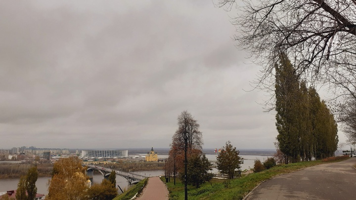 Минтруд России хочет выплатить по 50 тысяч рублей героям и жителям, пережившим блокаду Ленинграда