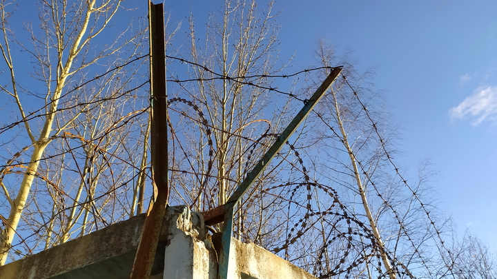 В России могут вернуть смертную казнь: Депутат доступно разъяснил механизм приговора