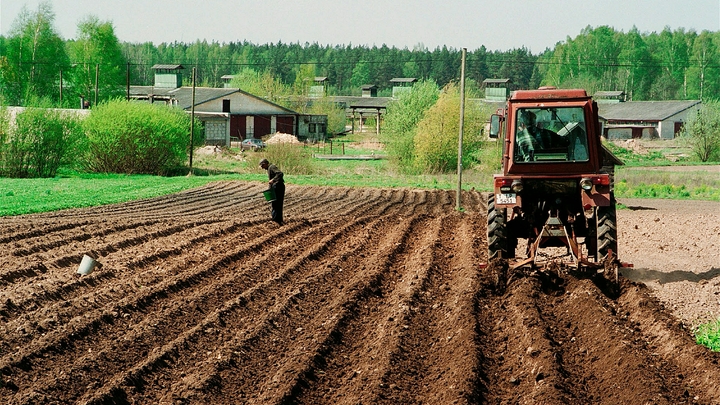 Начинающим фермерам Подмосковья помогут грантами и бизнес-планами
