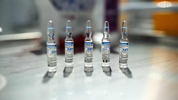 Гинцбург назвал сроки ревакцинации новой назальной вакциной на основе Спутника V
