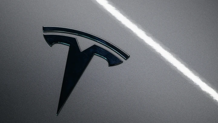 В Германии Tesla врезалась в дерево и загорелась: погибли отец и двое детей