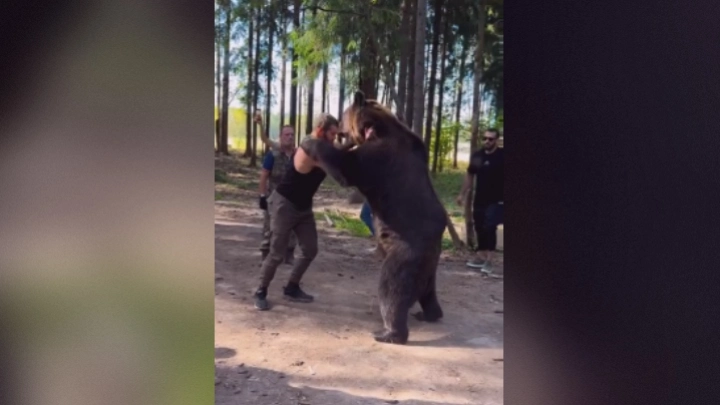 Боксер Махмудов рассказал о своем бое с медведем и заявил: «Это было ужасно!»