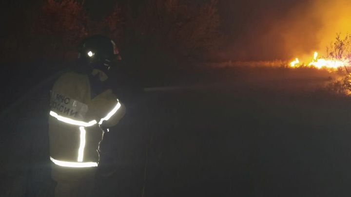 Более двухсот пожарных и спасателей тушат ландшафтный пожар под Ростовом-на-Дону