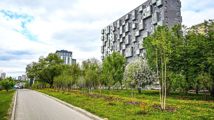 В Москве вдоль магистралей высадили более четырёх тысяч деревьев