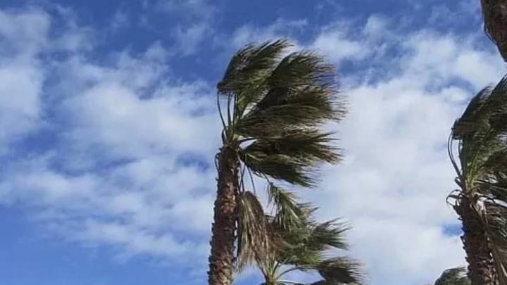 В Сочи из-за шторма закрыли зимние пляжи