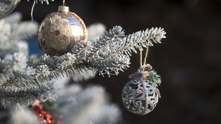 Дочка участника СВО из Екатеринбурга получит подарок от Татьяны Голиковой