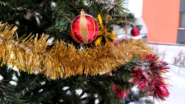 Новогодний распил. Чиновники даже ёлку поставить без скандала не сумели