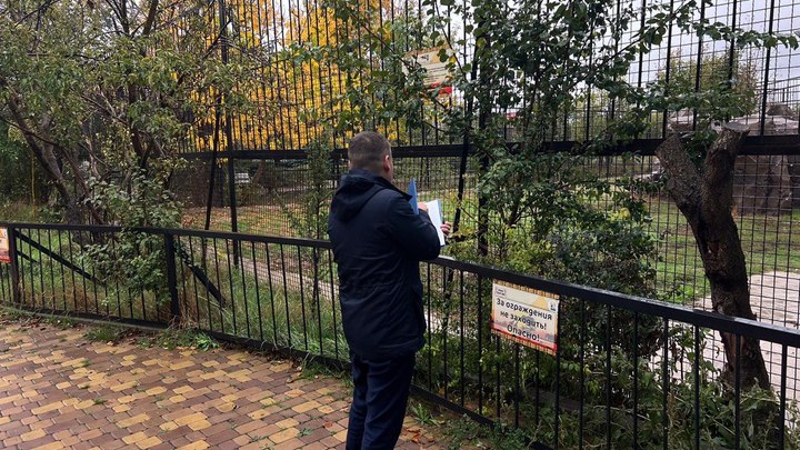 СК возбудил уголовное дело из-за гибели сотрудницы парка после нападения львов