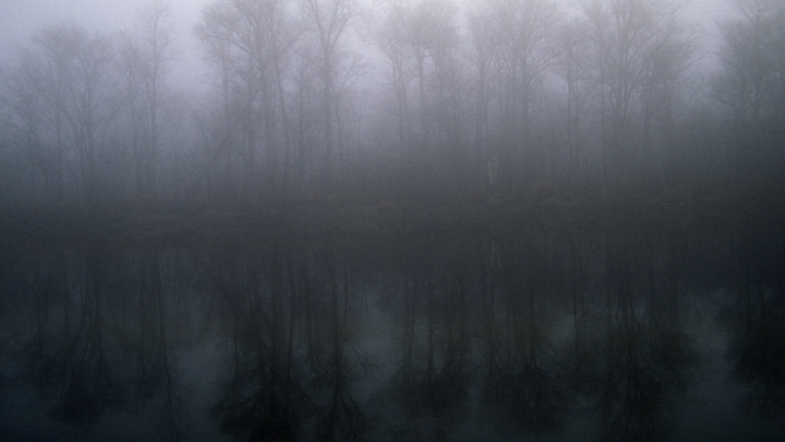 Ушли на реку и не вернулись: В Приморье ищут трёх пропавших детей