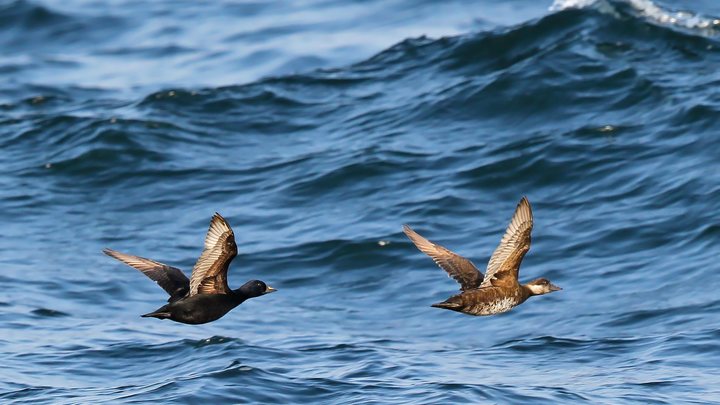 В Туапсинском районе 12 февраля потеплеет до +13°C