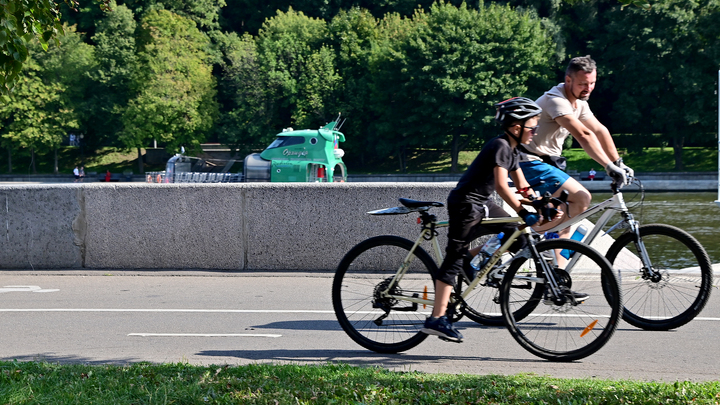 Сторонников Палестины теперь пытаются убить? В Мадриде мужчина въехал в велосипедистов
