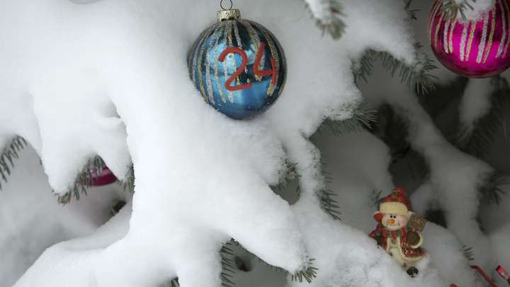 Погода в Архангельске 16 декабря 2023: главное