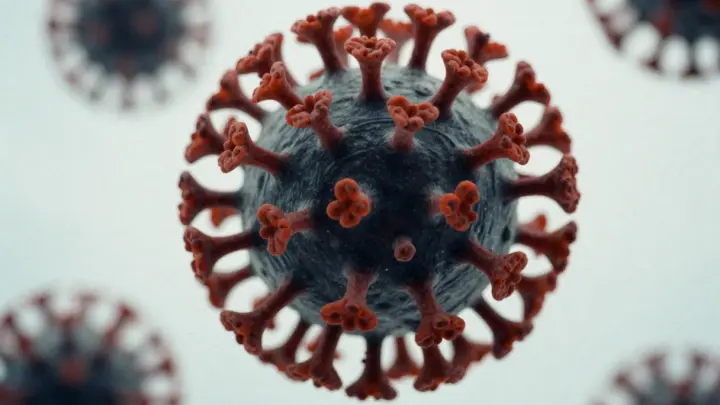 Новый вирус-невидимка летучих мышей начал заражать людей