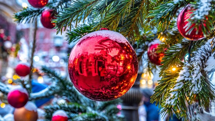 Как добраться до дома с новогодней ёлкой и не заработать штраф, подсказала юрист