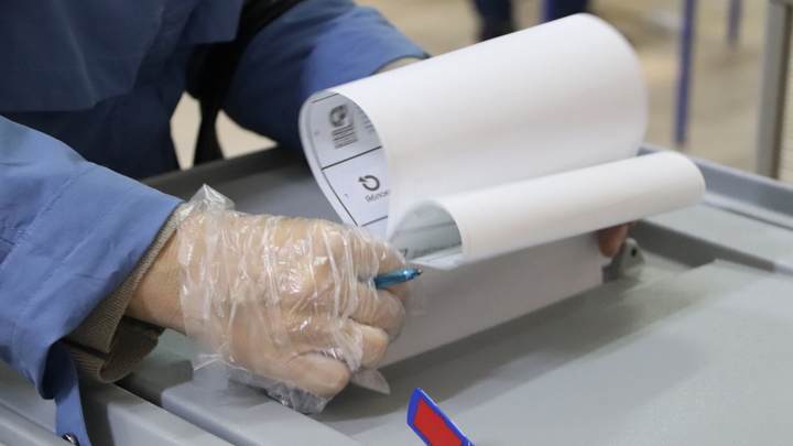 Новосибирский избирком назвал дату довыборов в Заксобрание