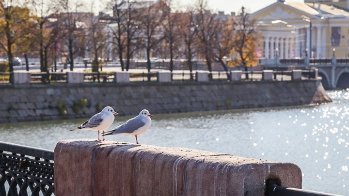 При ремонте Театра оперы и балета в Челябинске могли украсть 16 млн рублей
