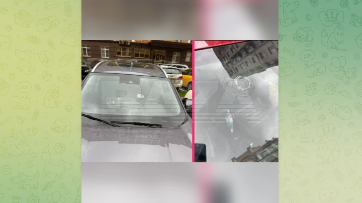 В Новой Москве неизвестные разбивают лобовые стёкла машин из-за парковки