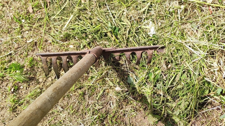 Лунный посевной календарь на 14 июля 2023: что сажать сегодня, советы садоводам и огородникам