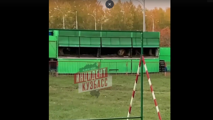 Владельцам передвижного зоопарка в Кемерове грозят крупные штрафы