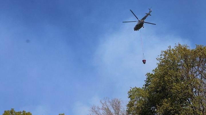 Виновники лесного пожара в Туапсинском районе возместят расходы на его тушение
