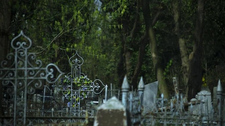 Радоница 2021 в Краснодаре: кладбища будут открыты, но с ограничениями