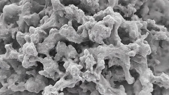 Ученые нашли простой способ снизить плохой холестерин с помощью одного продукта