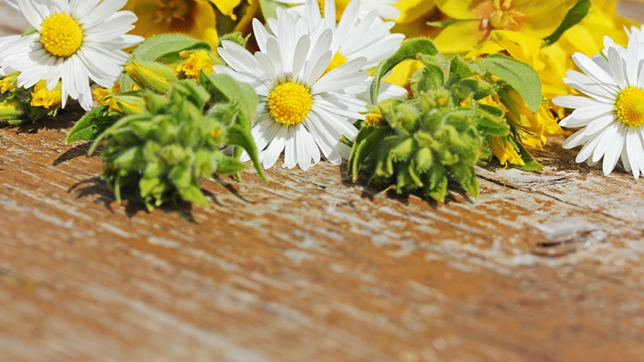 День филолога 2022: поздравления в стихах и прозе