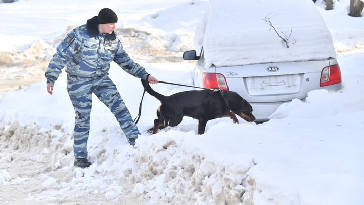 Полицейские ищут мины в трёх торговых центрах и здании Роспотребнадзора в Нижнем Новгороде
