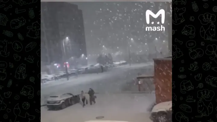 Первый снег в Москве: горожане делятся кадрами