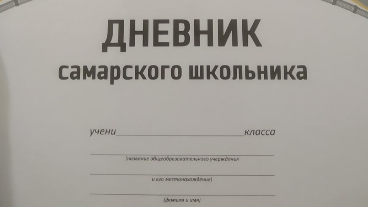 Это не мы! Минобр Самарской области пригрозил штрафом заказчику Дневника самарского школьника