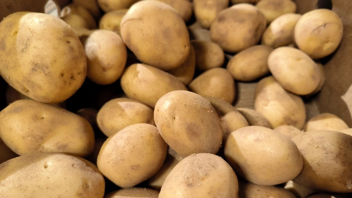 Белорусским магазинам запретили продавать мелкую картошку