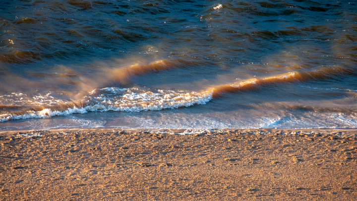 Компания-резидент Сириуса нашла способ быстро снизить экологический ущерб от мазута
