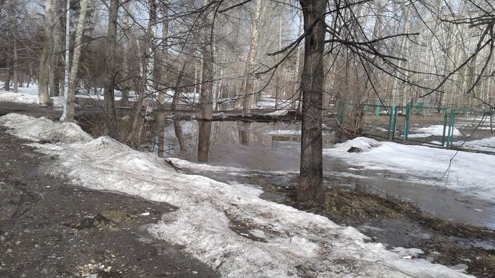 В Свердловской области потеплеет до +18 градусов к концу недели