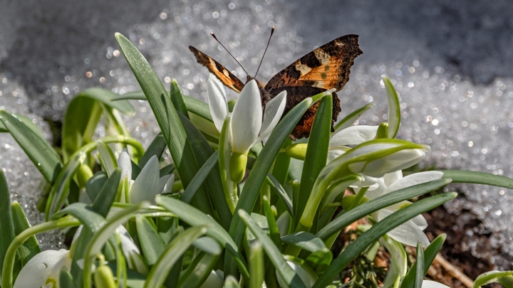 4 апреля – Василий Теплый: что можно и нельзя делать в этот день, народные приметы