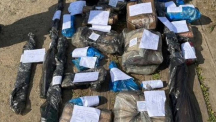 Винтовки, пистолеты и даже автомат: Архангельские мастера кустарно изготавливали боевое оружие