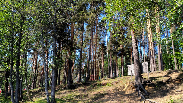 В Прикамье пятый день ищут мужчину, который ушел в сторону заброшенного села