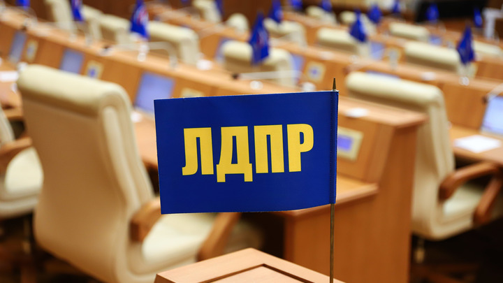 Дочь Владимира Жириновского будет баллотироваться в Госдуму в 2026 году
