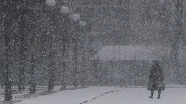 Москву и область накроет густой туман: МЧС просит водителей быть осторожнее